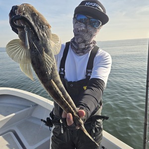 20251030_141711_コピー