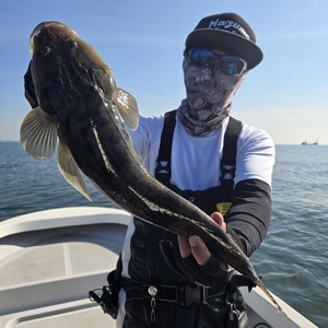 20251030_125608_コピー