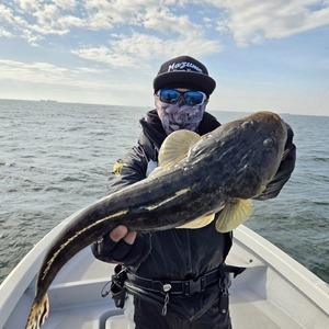 20251030_093031_コピー