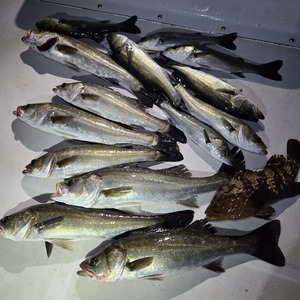 20251101_024705_コピー