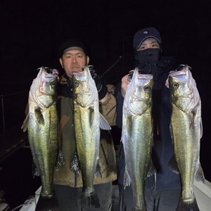 20251101_024447_コピー