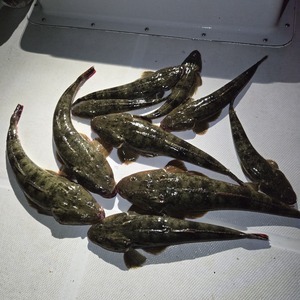 20251101_203617_コピー