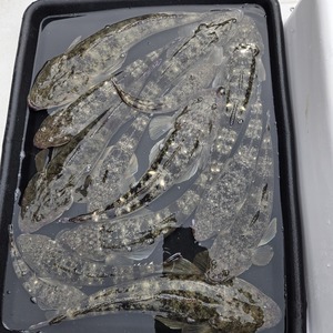 20251102_122233_コピー