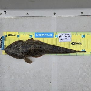 20251102_121317_コピー