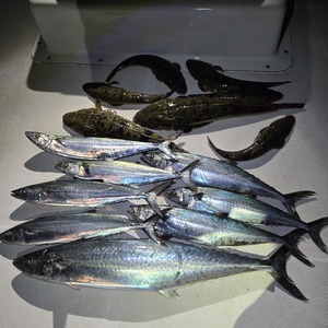 20251102_193913_コピー