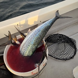 20251102_163536_コピー