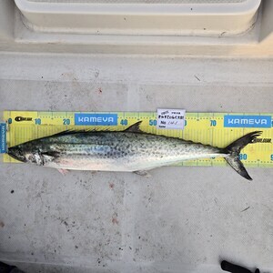 20251102_162855_コピー