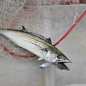 20251102_152317_コピー