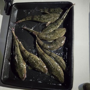 20251104_172459_コピー