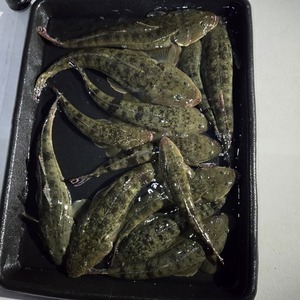 20251104_172034_コピー