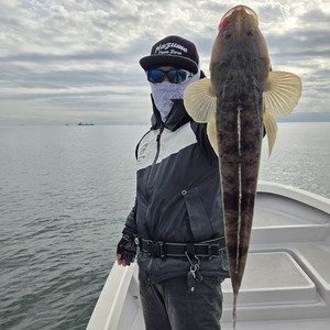 20251104_131757_コピー