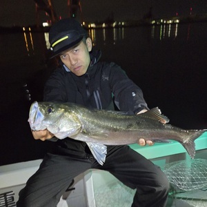 20251104_232037_コピー