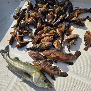 20251107_134533_コピー