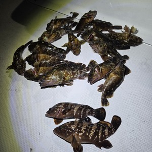 20251108_182948_コピー