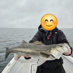 20251109_163406_コピー