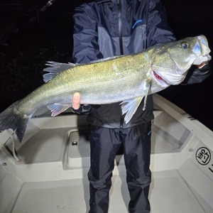 20251111_020740_コピー