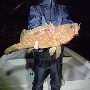 20251111_020614_コピー