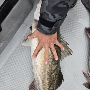 20251113_115922_コピー