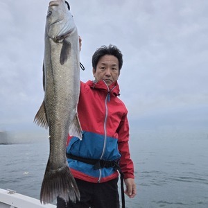 20251113_164931_コピー