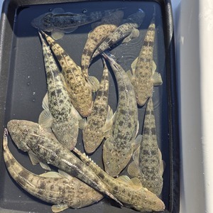 20251115_125021_コピー