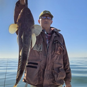 20251115_114000_コピー