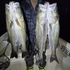 20251115_174651_コピー