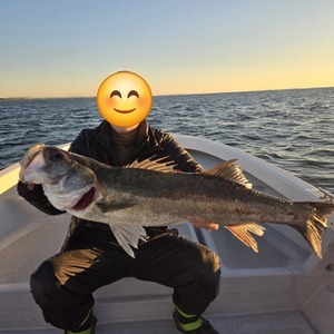 20251115_161543_コピー