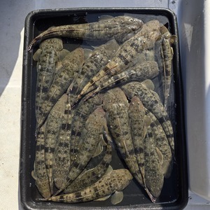 20251116_124044_コピー