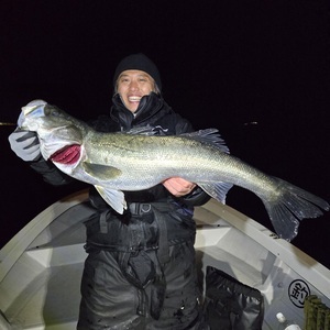 20251119_235427_コピー