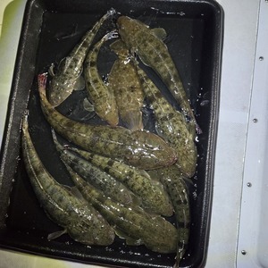 20251120_173458_コピー