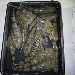 20251120_172934_コピー