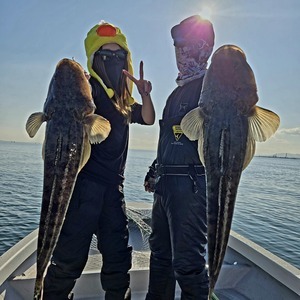 20251120_135409_コピー