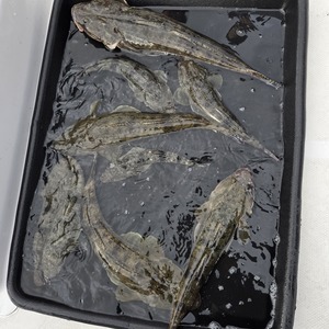 20251121_144533_コピー