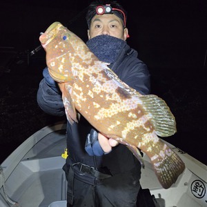 20251121_224414_コピー