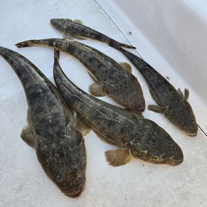 20251122_153113_コピー