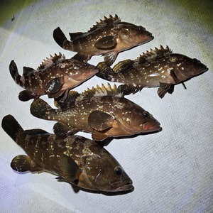 20251122_202745_コピー