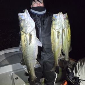 20251123_015028_コピー