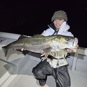 20251123_014529_コピー