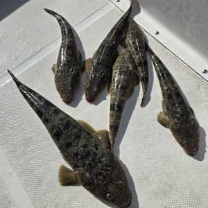 20251123_111242_コピー