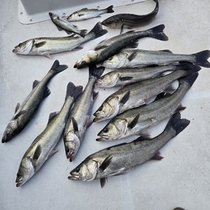 20251128_113936_コピー