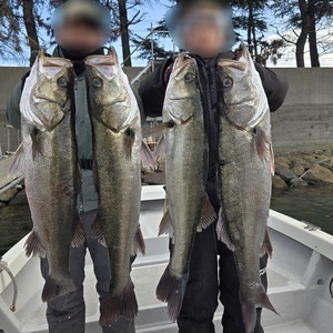 20251128_113749_コピー