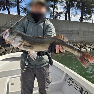 20251128_113545_コピー