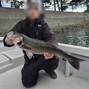 20251128_113419_コピー