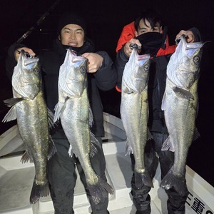 20251129_041741_コピー