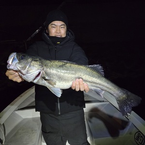 20251129_041556_コピー