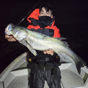 20251129_041458_コピー