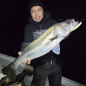 20251129_034800_コピー