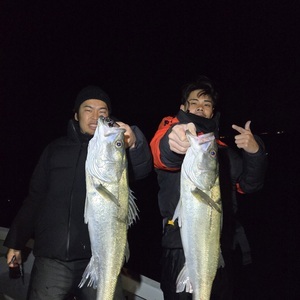 20251129_034103_コピー