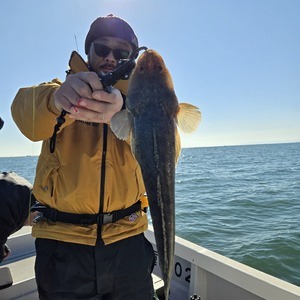 20251129_115607_コピー