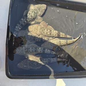 20251130_124732_コピー